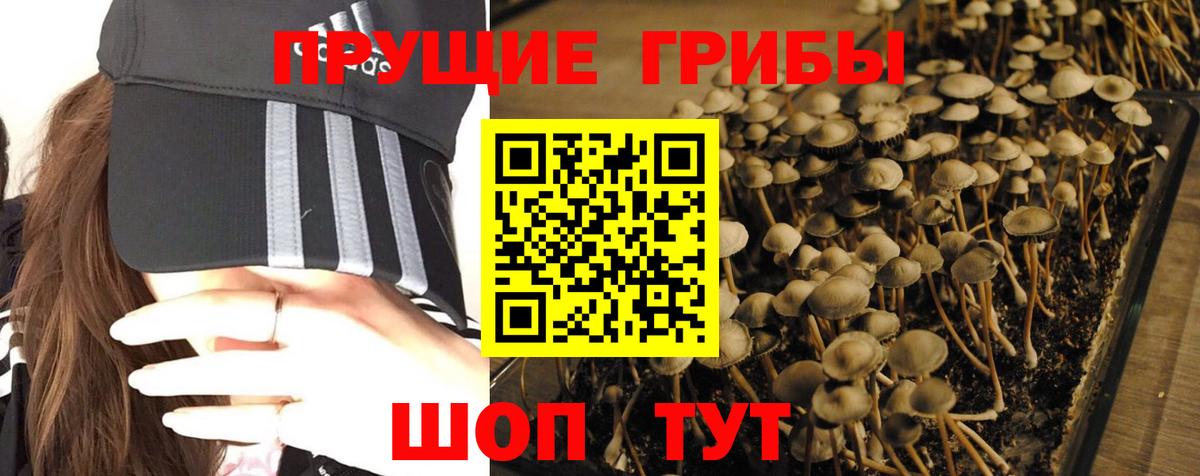 Псилоцибиновые грибы мицелий Троицк